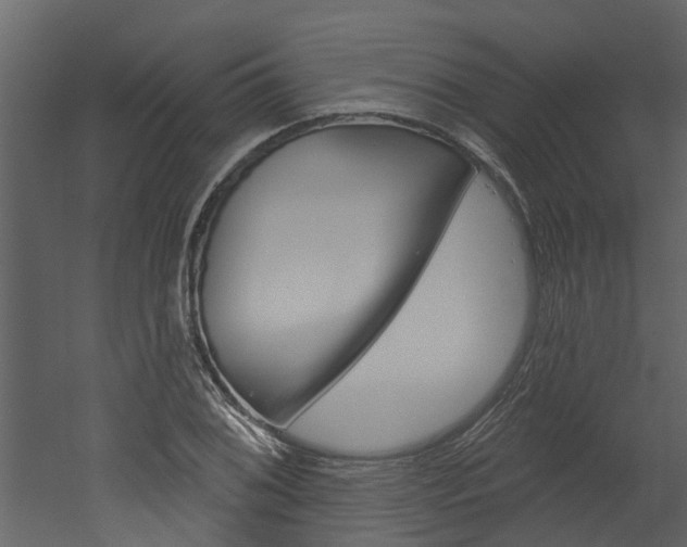 X0000052931076200507080821