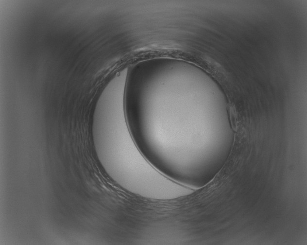X0000052931110200507080819