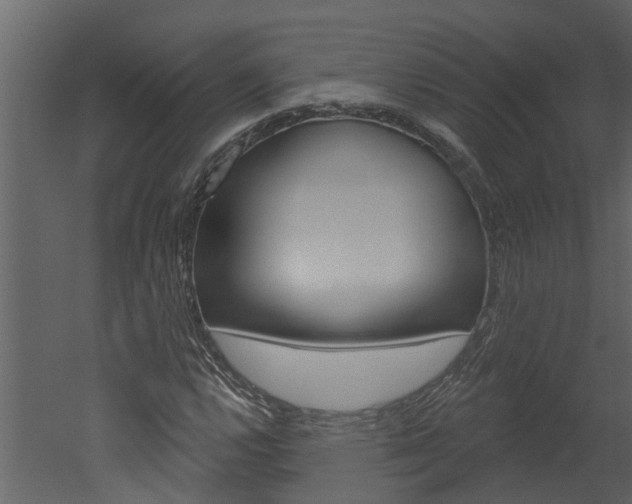 X0000052931112200507080819