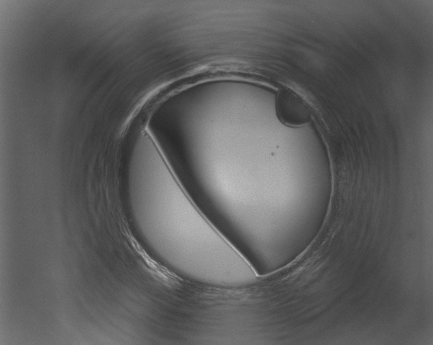 X0000052931115200507080819
