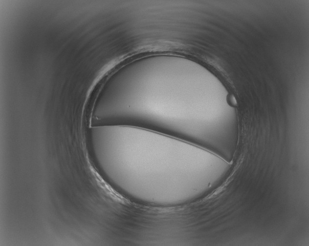 X0000052931122200507080820