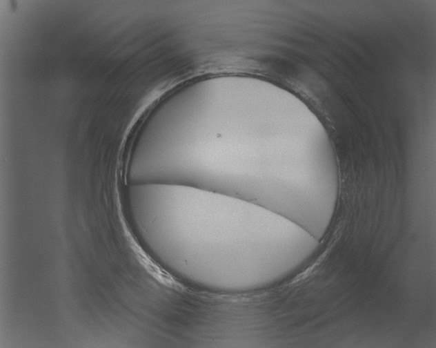 X0000052931130200507080820