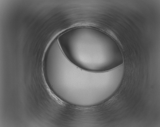 X0000052931132200507080820