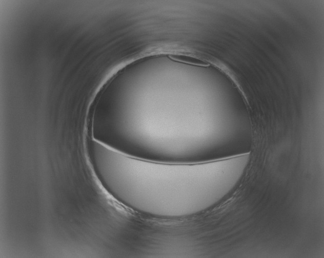 X0000052931147200507080820