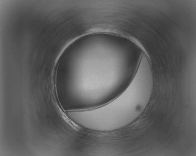 X0000052931148200507080820