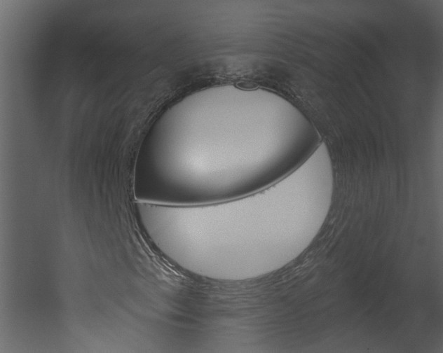 X0000052931153200507080819