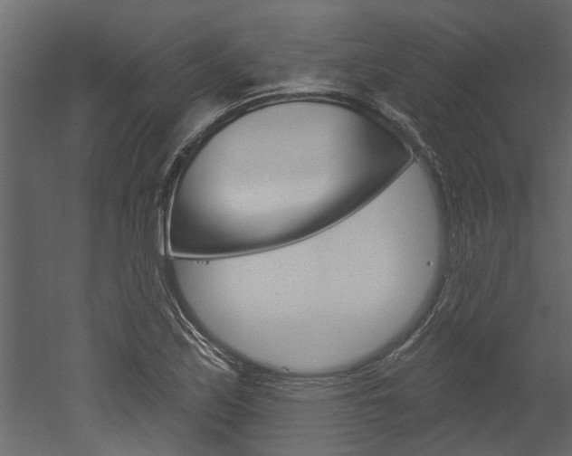 X0000052931171200507080819
