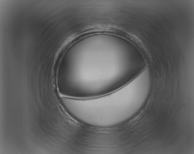 X0000052931172200507080819