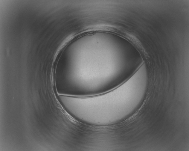 X0000052931180200507080819