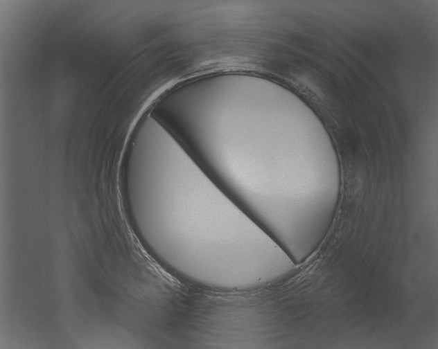 X0000052931182200507080819