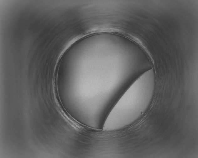 X0000052931187200507080819