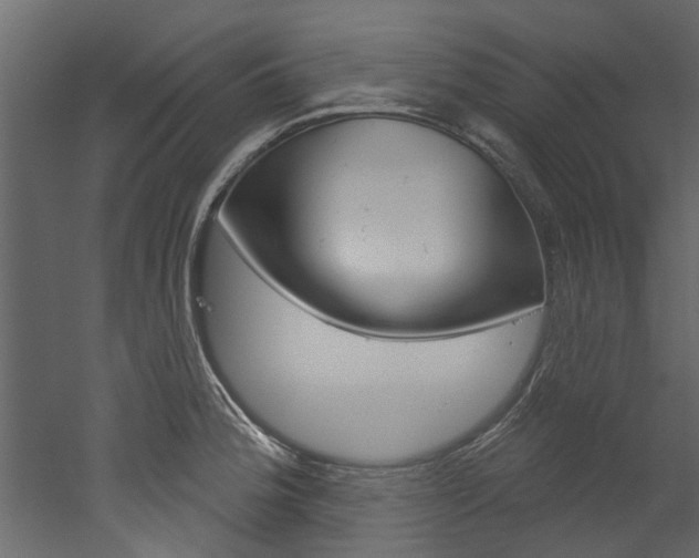 X0000052931188200507080819