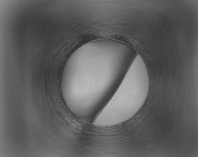 X0000052931201200507080818
