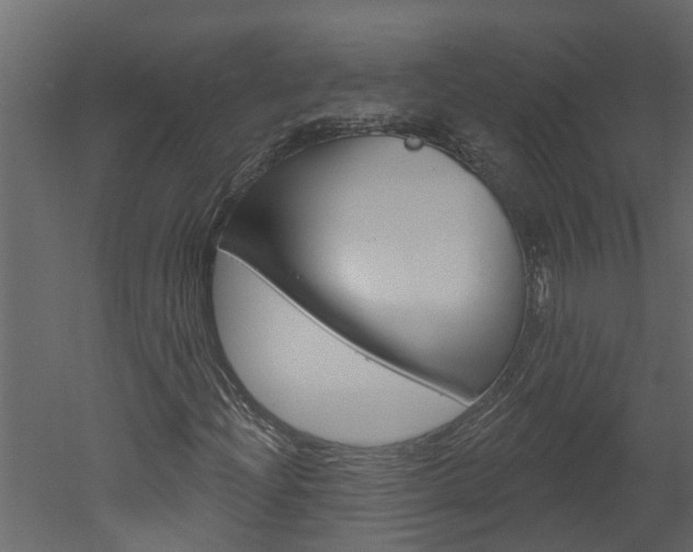 X0000052931204200507080818