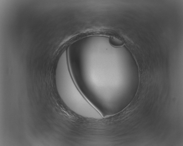X0000052931206200507080818