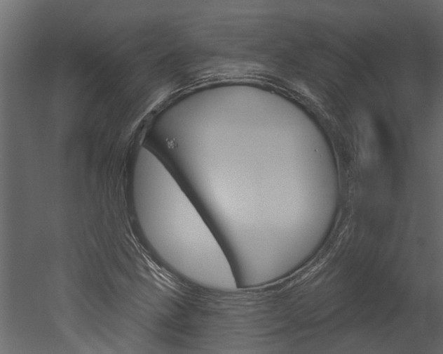 X0000052931211200507080818