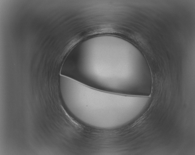 X0000052931225200507080818