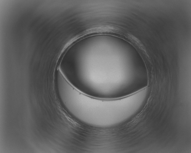 X0000052931226200507080818