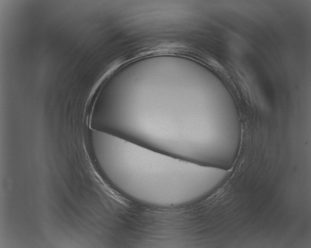 X0000052931227200507080818