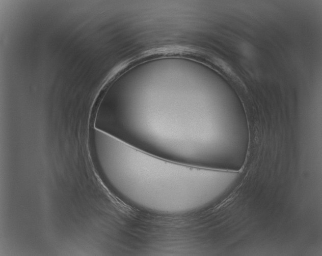 X0000052931229200507080818