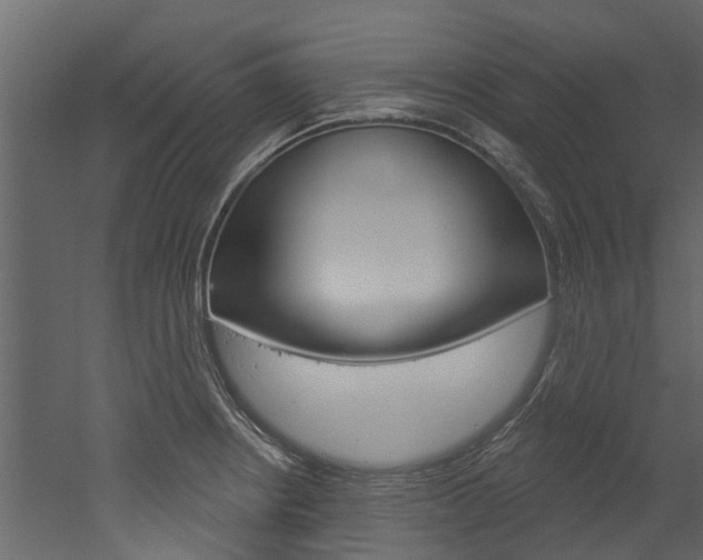 X0000052931234200507080818