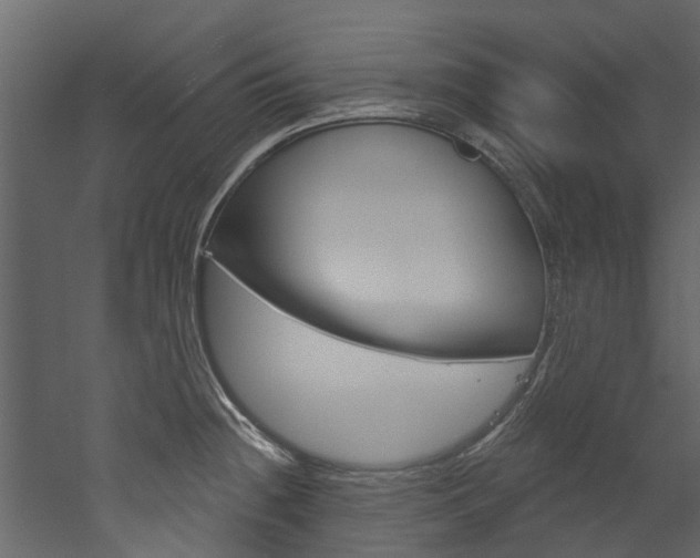 X0000052931236200507080818