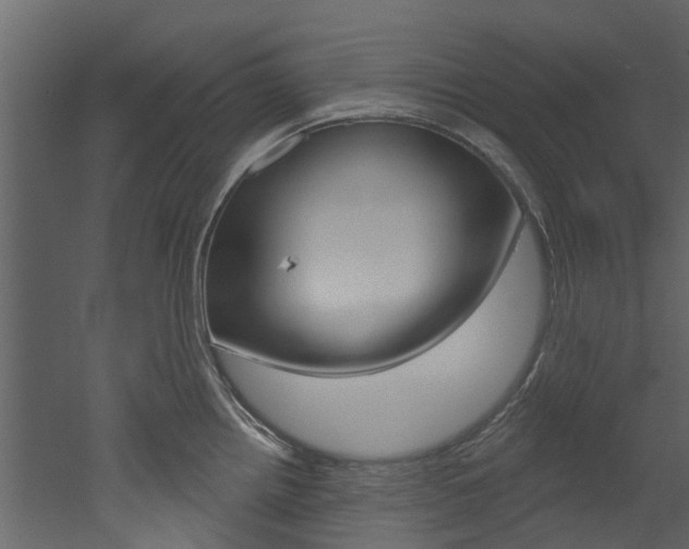 X0000052931242200507080818