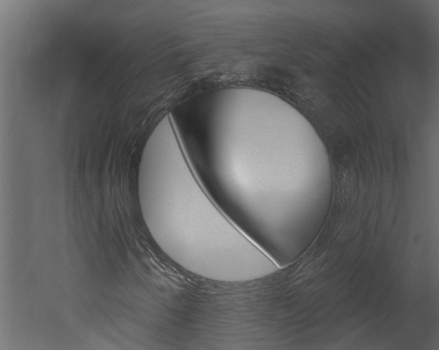 X0000052931250200507080818
