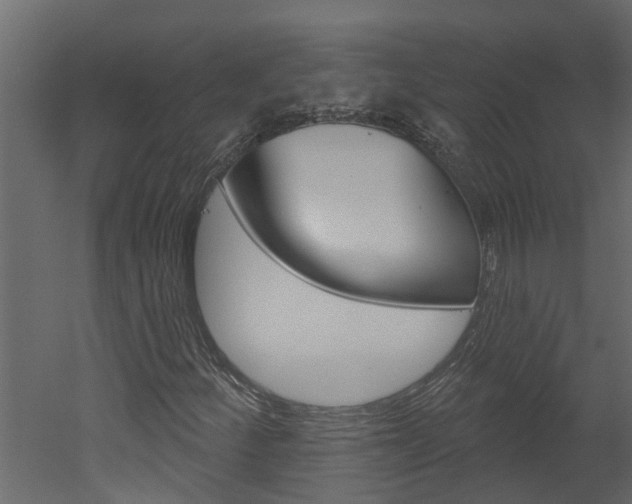 X0000052931252200507080818