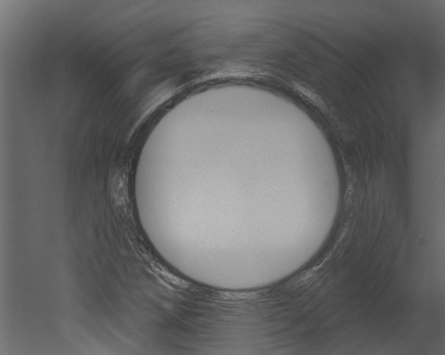 X0000052931258200507080817