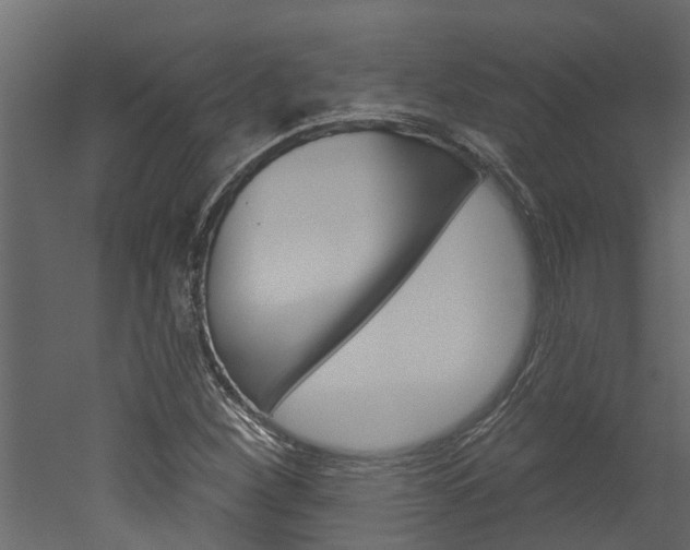 X0000052931260200507080817