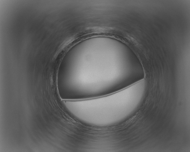 X0000052931261200507080817