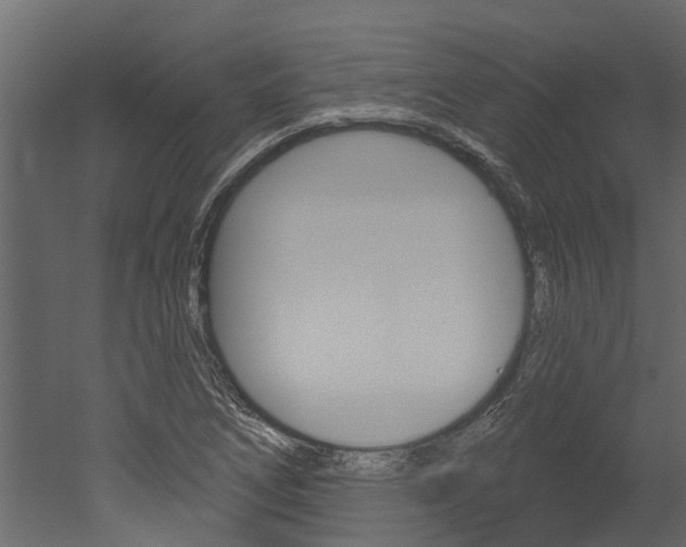 X0000052931266200507080817