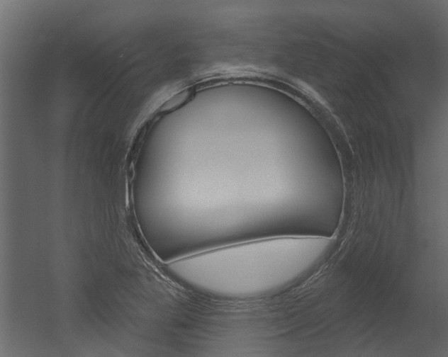X0000052931269200507080817