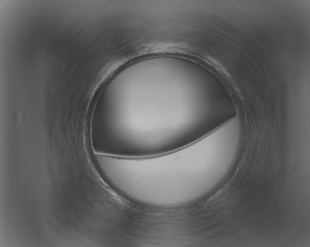 X0000052931277200507080817