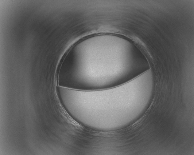 X0000052931280200507080817