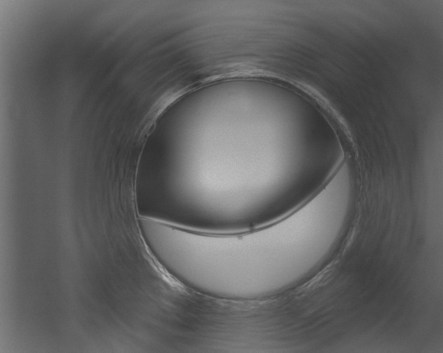 X0000052931289200507080817