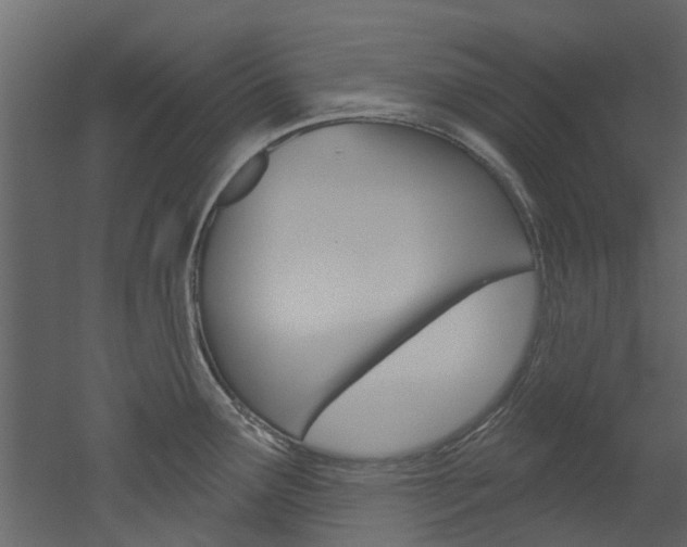 X0000052931291200507080817