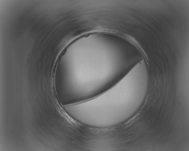 X0000052931292200507080817