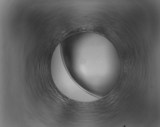 X0000052931298200507080816