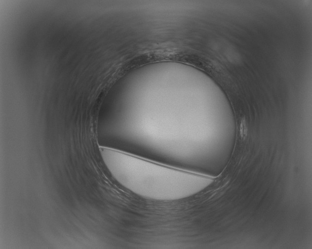 X0000052931299200507080816