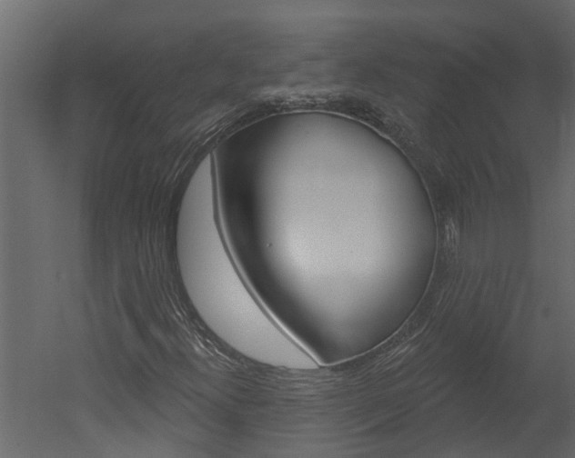 X0000052931300200507080816