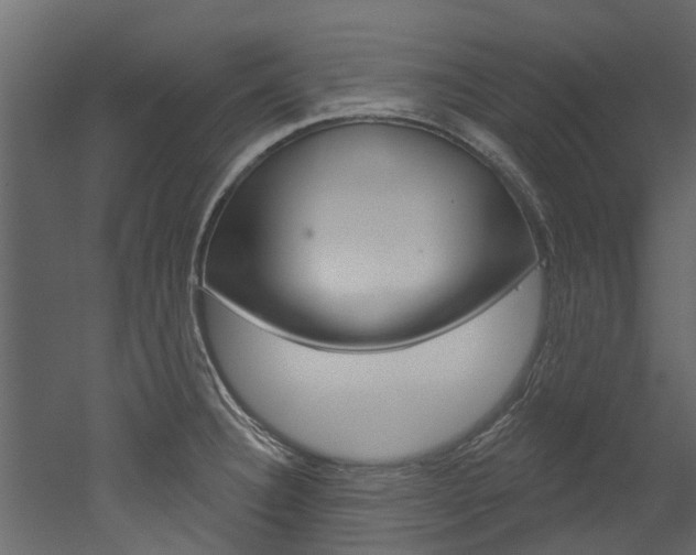 X0000052931332200507080817