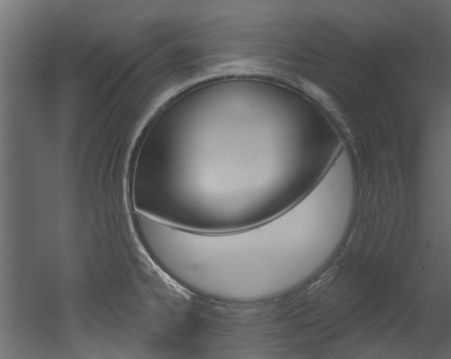 X0000052931334200507080817
