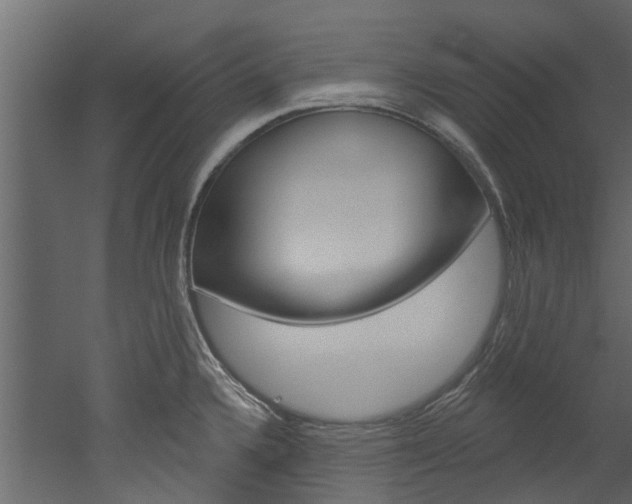X0000052931336200507080817
