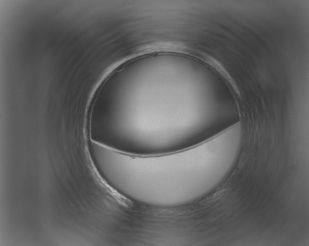 X0000052931339200507080817