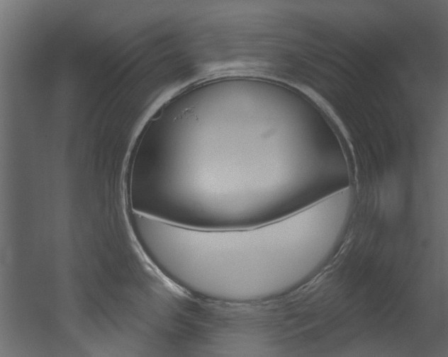 X0000052931341200507080817
