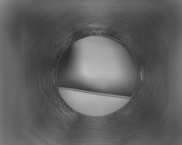 X0000052931347200507080816
