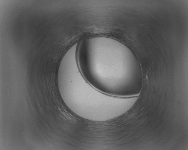 X0000052931348200507080816