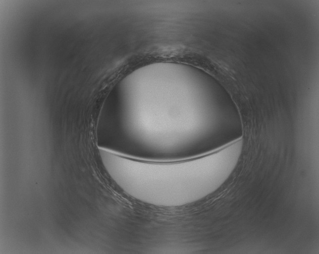 X0000052931349200507080816